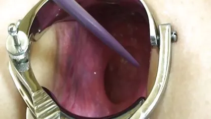 Di meja dapur, Peter North, Sepong Roxy Giselle indo sex hot