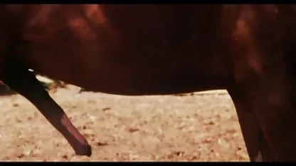 Dan indo hotxxx tua!